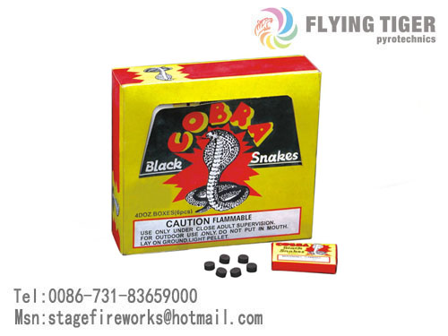 Black Cobra Snakes